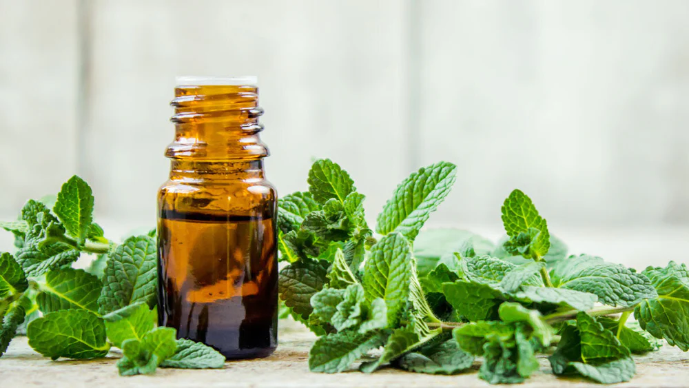 Ayurvedic herbal therapies in diarrhoea-predominant IBS: evaluating efficacy and safety profiles